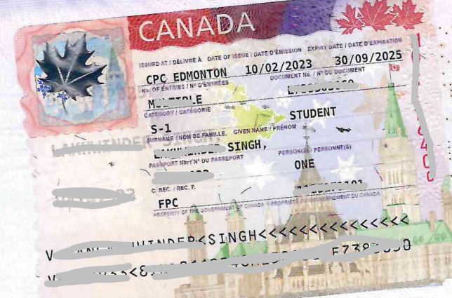 Exploring the Cost of Attendance for an MBA in Australia